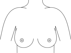 284px-Breasts.svg