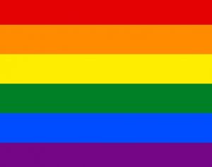homo_lesbo_sateenkaari_vähemmistö