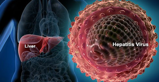 hepatiitti-virus