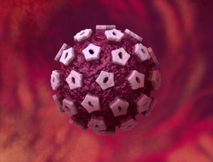 Human-papilloma-virus