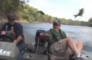 kalat-hyppivät-veneeseen