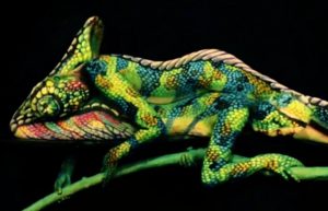 kameleontti-vartalomaali