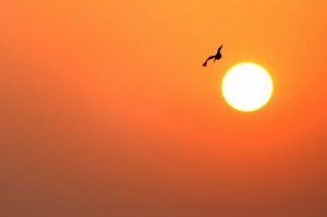 aurinko_luonto_sää_