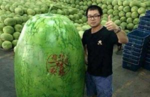 mp-massiivasioit-artik