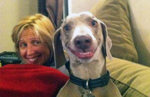 mp-lemmikki-omistajansa-artik