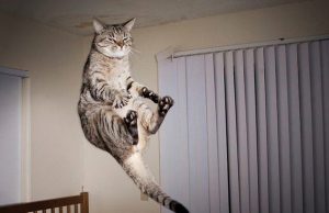 mp-missa-olet-painovoima-artik