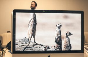 mies-tietokone-safari