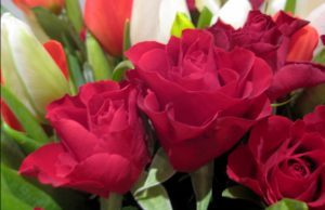 Blumen für die Frau;