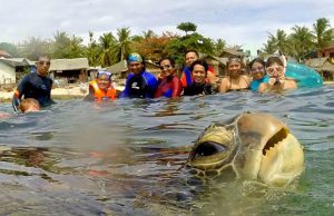 mp-elainten-photobomb-artik