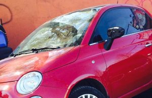 tallinna-auto-parkissa-1-crop