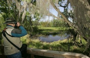 metsästys-wikimediacommons