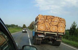 mp-tayd-perfektionismia-artik