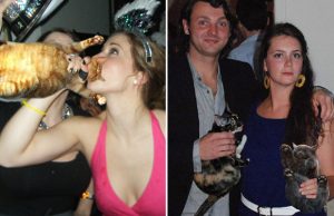 mp-alkoholi-katko-artik