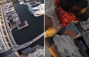 mp-hullumies-40m-artik