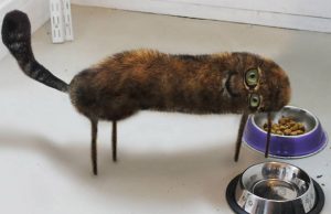 mp-piirustus-dom-artik