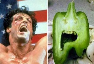sylvester-stallone-rocky-paprika