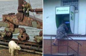 mp-vain-venaja-artik