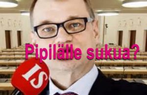 pipilälle-sukua