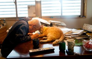 mp-kissa-ja-akainen-mies-artik