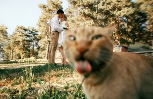 mp-kissa-photobomb-artik