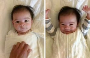 mp-vauva-kadet-ilmaan-artik