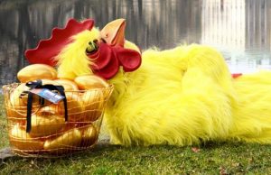 pääsiäismuna-jahti-clarion-crop