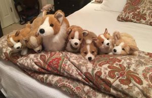 mp-ei-kuulu-joukkoon-artik