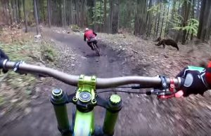 mp-karhu-akanen-pyora-artik