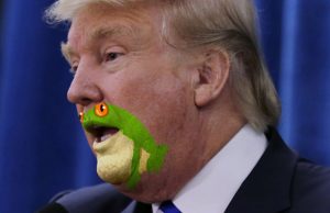 mp-sammakkonaama-trump2-artik