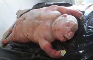 ihmismäinen karitsa