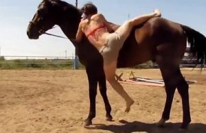 mp-hevosen-selkaan-nainen-artik