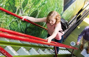 linnanmäki-vekkula-1