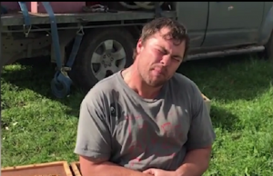 mies istuu mehiläispesässä