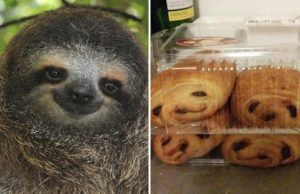 mp-uskomatonta-samannakoisyytta-11_2017-artik