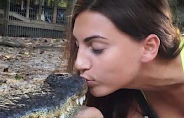 suudelma alligaattorille
