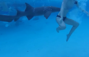 hain puree naista metro uk