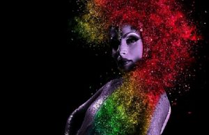 transvestiitti-pixabay-crop