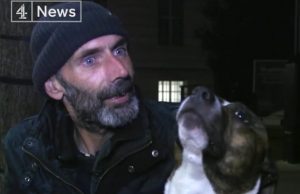 andy-hutchins-koira-facebook-channel-4-news