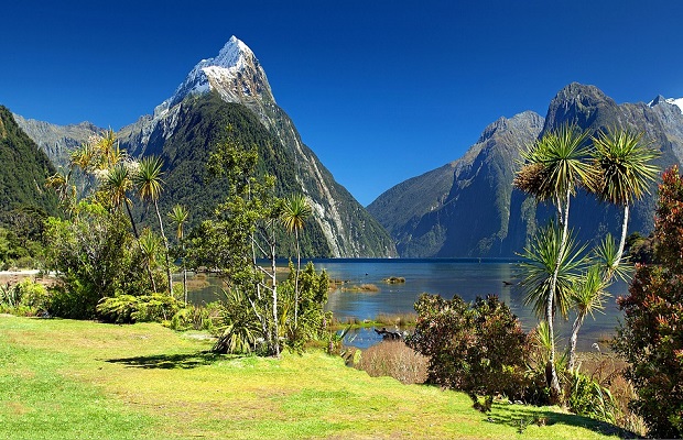 uusi-seelanti-milford-sound-pixabay