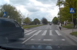 holtiton-kuski-suojatie-pixabay