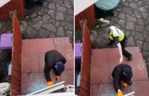 varas-repi-ovea-reddit