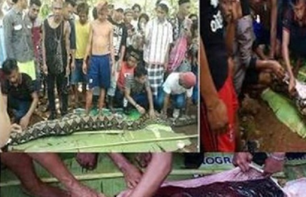 indonesia-käärme-instagram-mrs-angemi