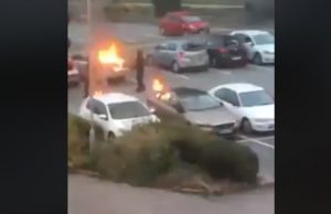 auto-palopommi-göteborg-facebook-alternativ-för-sverige-