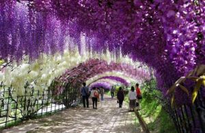 hengailu-pitka-aika-kuvat