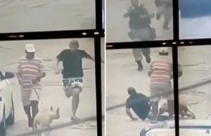 koira-pysaytti-miehen-kadulla-video