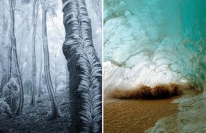 ei-muokkausta-lainkaan-kuvat