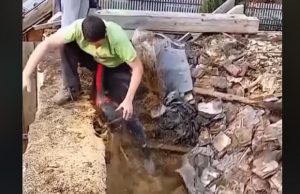 työmies-Facebook-Mr-Sopetón