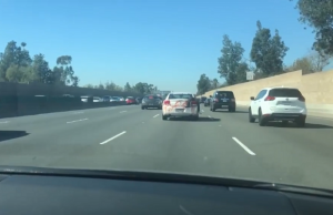 halloween koristelu video new york post