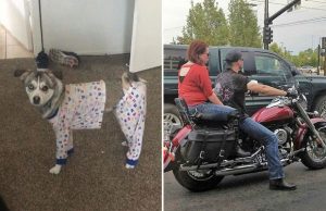 harhaanjohtavat-valokuvat-2018-katso