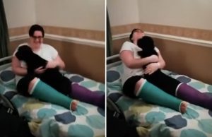 koira-omistaja-jalleennakeminen-youtube